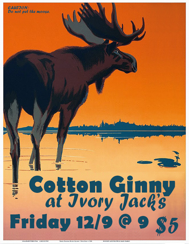 cotton-ginny-at-ivory-jacks