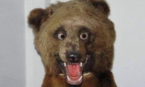 An example of bad taxidermy